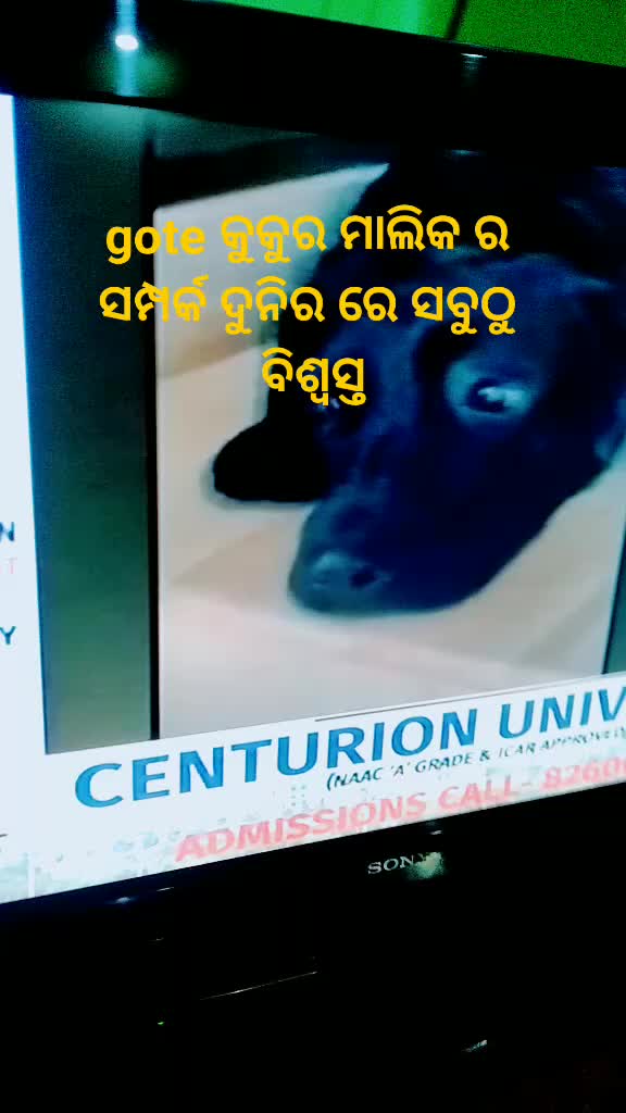 @mohanty sarat