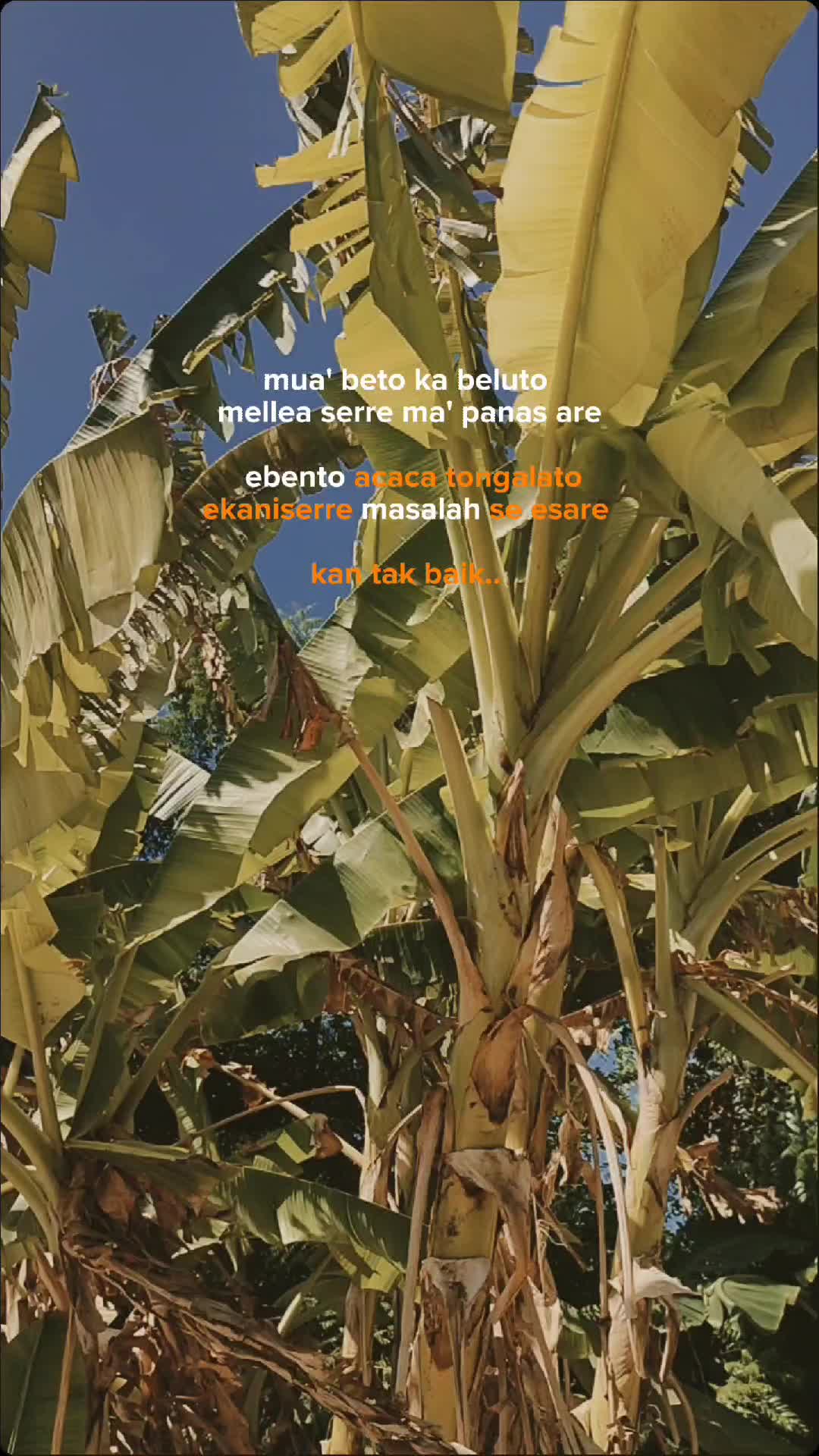@avharri🔹