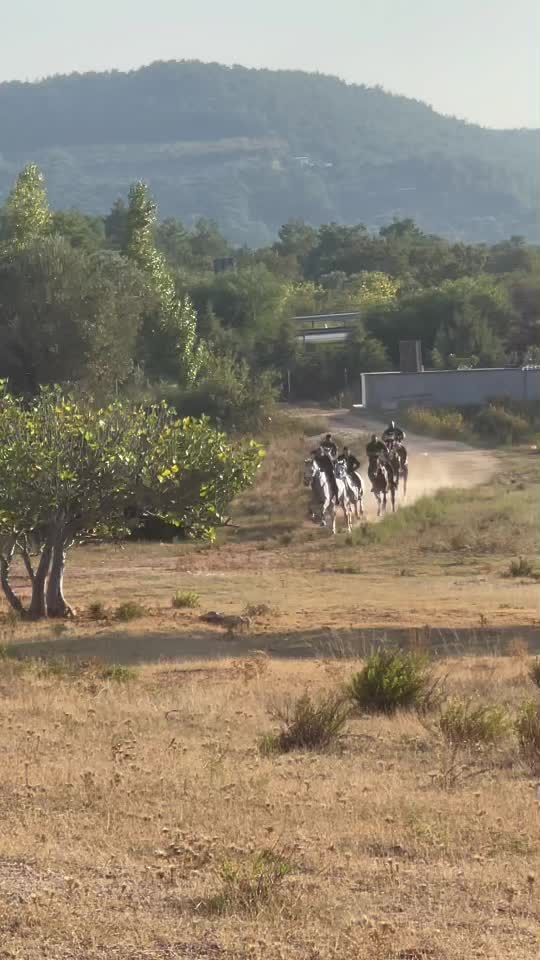 @Asil g&uuml;lbahar