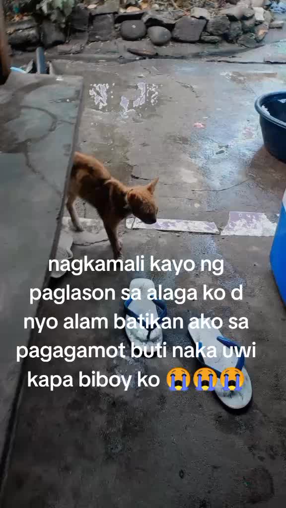 @Ate @Ana