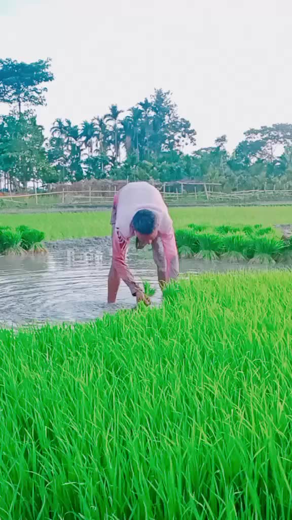 @Uttam Koch