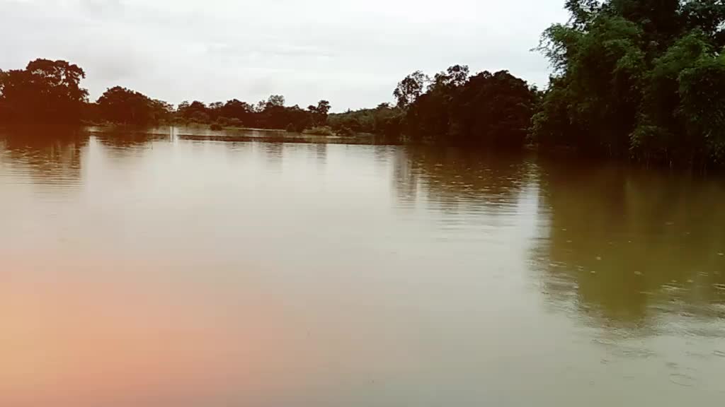 @গগৈ দা