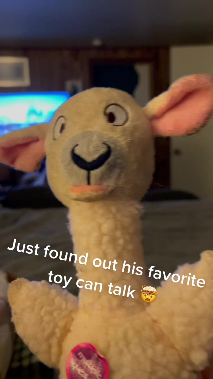 @jessicatorosian15