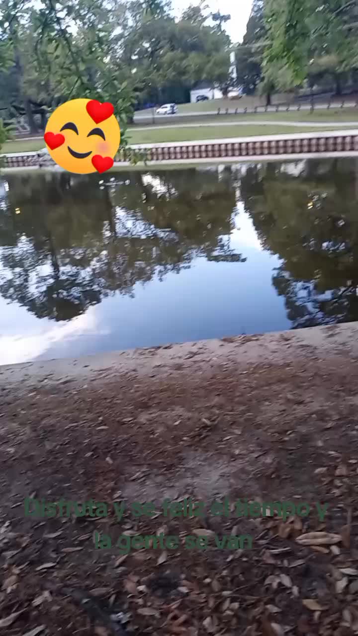 @larissa212tiktok3