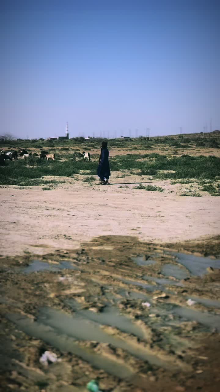 @Gull Baluch