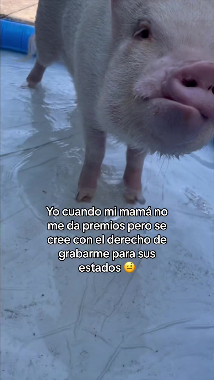 @El Bubustacio 🥵