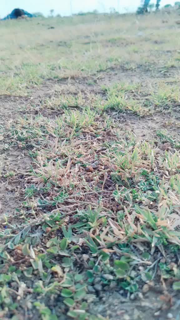 @Durgesh Kumar