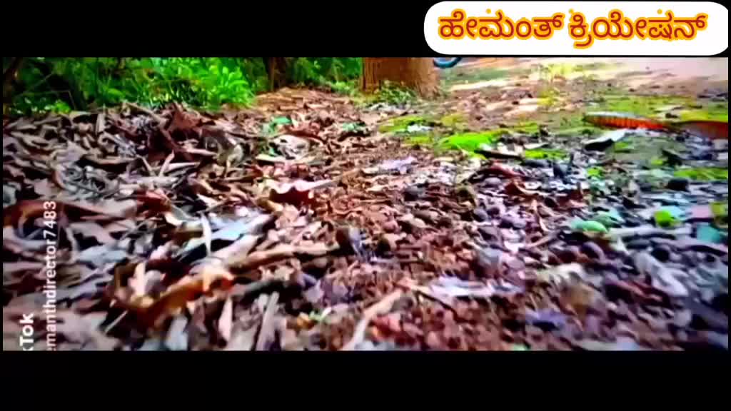 @ಹೇಮಂತ್ ಡೈರೆಕ್ಟರ್, 🎬