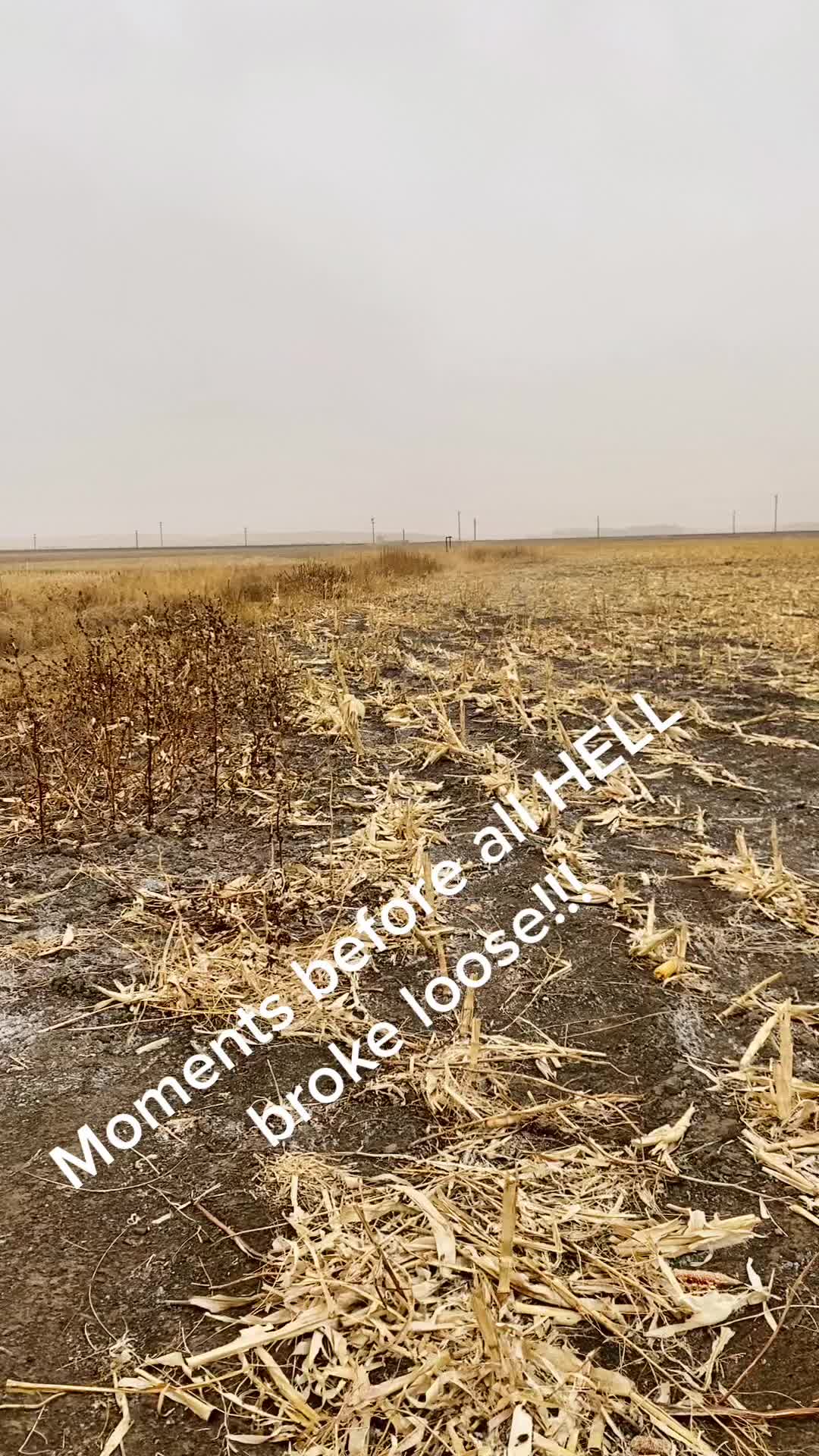 @Migration Maniacs