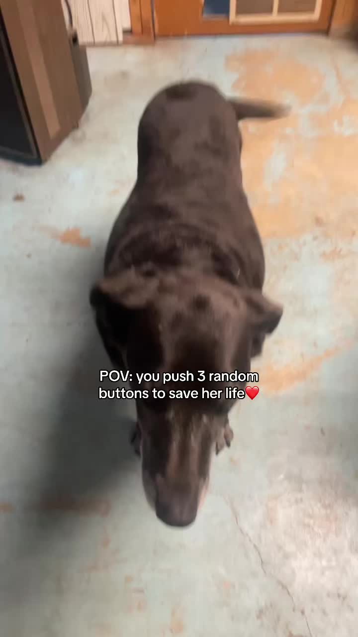 @emily