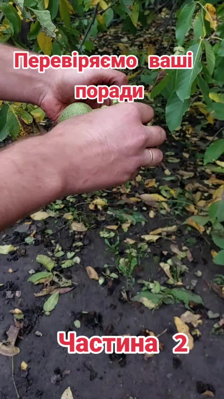 @BaraholkaUKRAINE