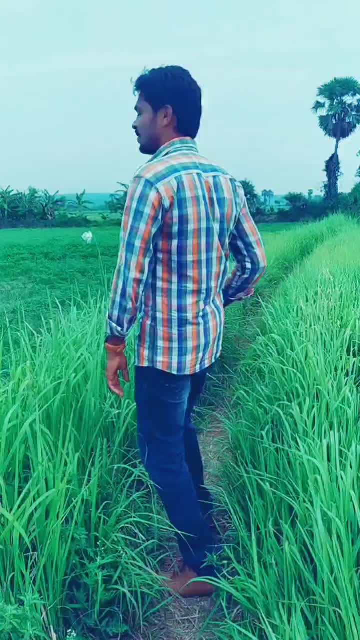 @satyas-s