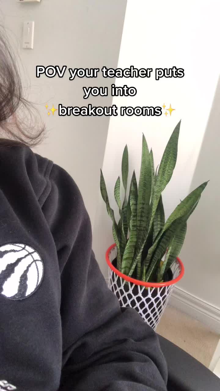 @michelle.trent