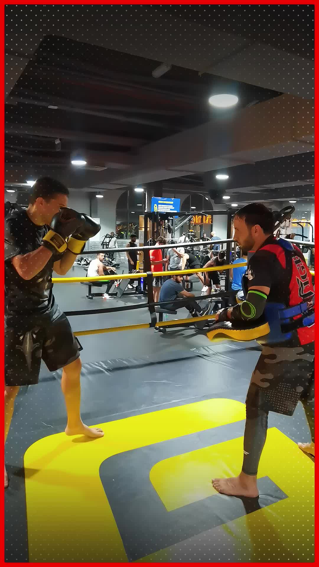 @FitFightuae