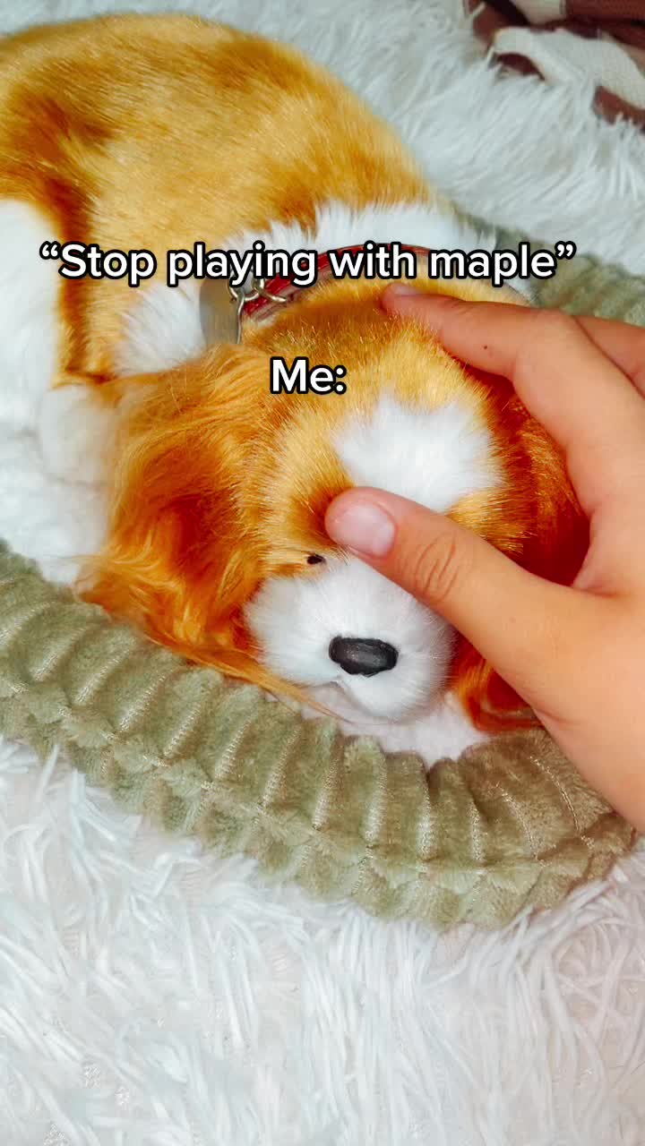@🍁Maple🍁