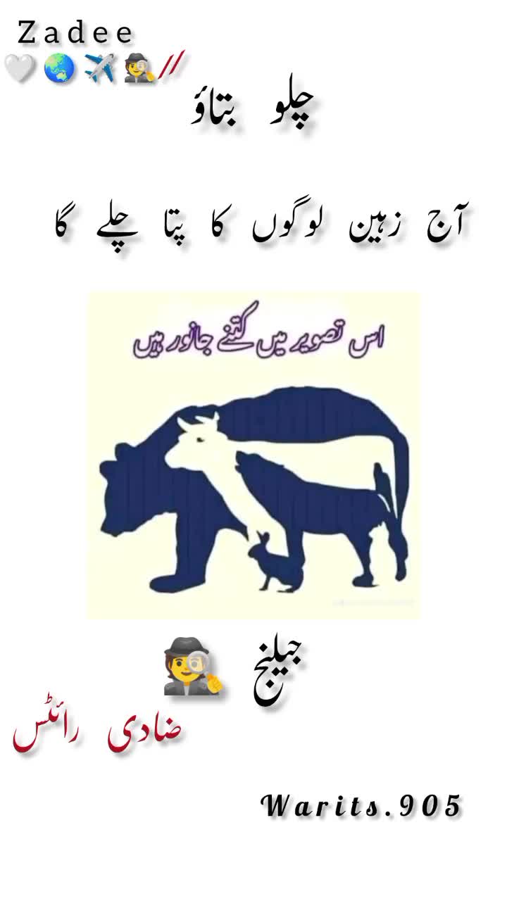 @it's khan zadii
