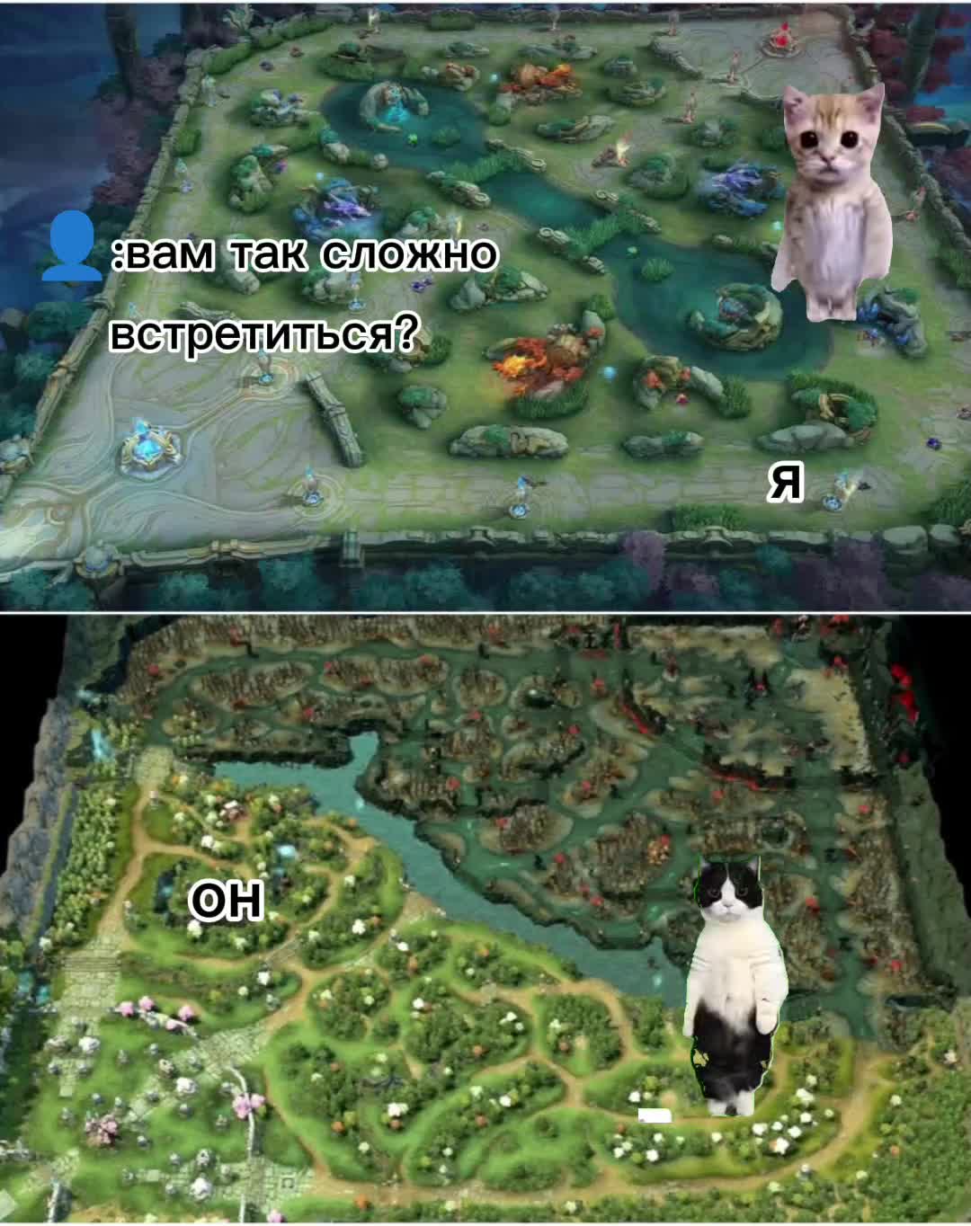 @кастрюля