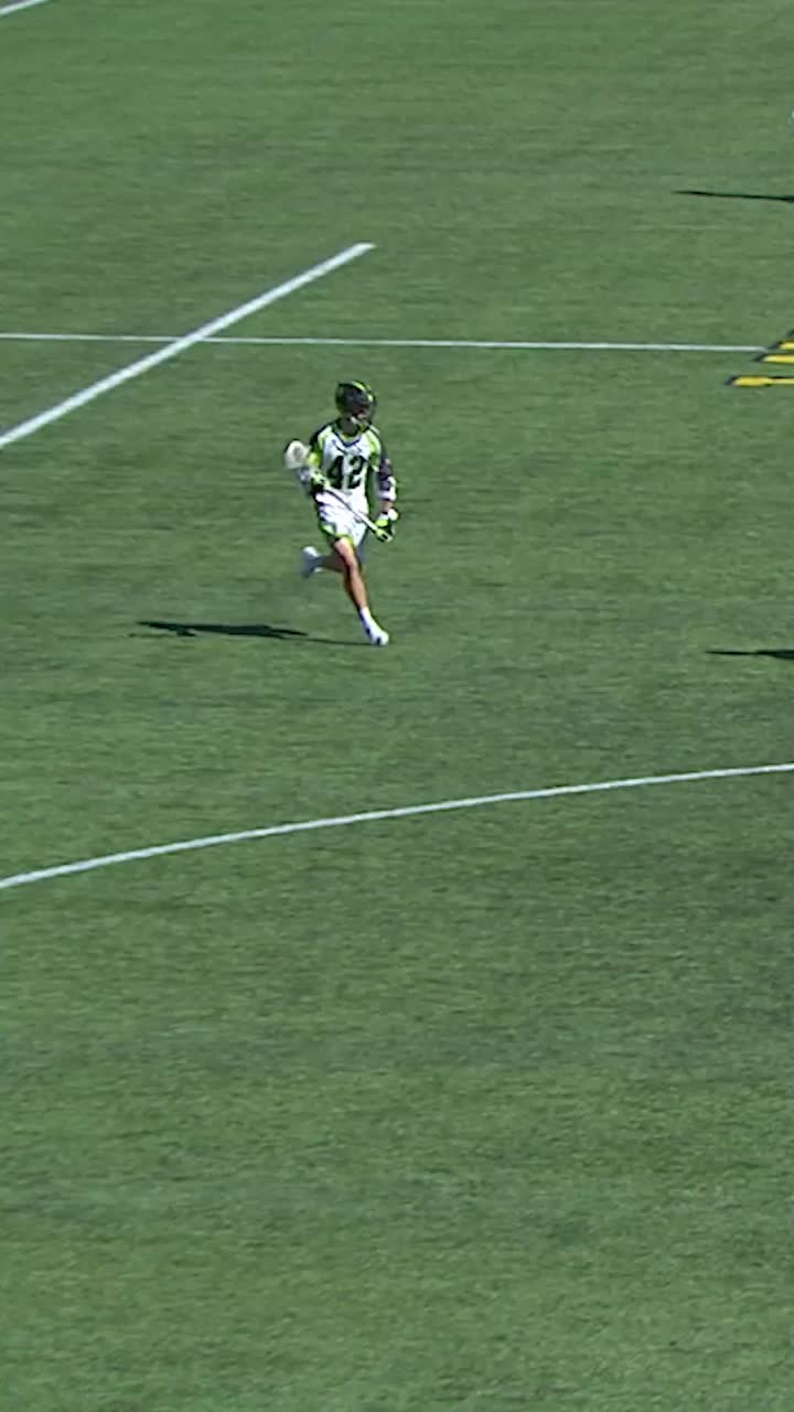 @nylizards