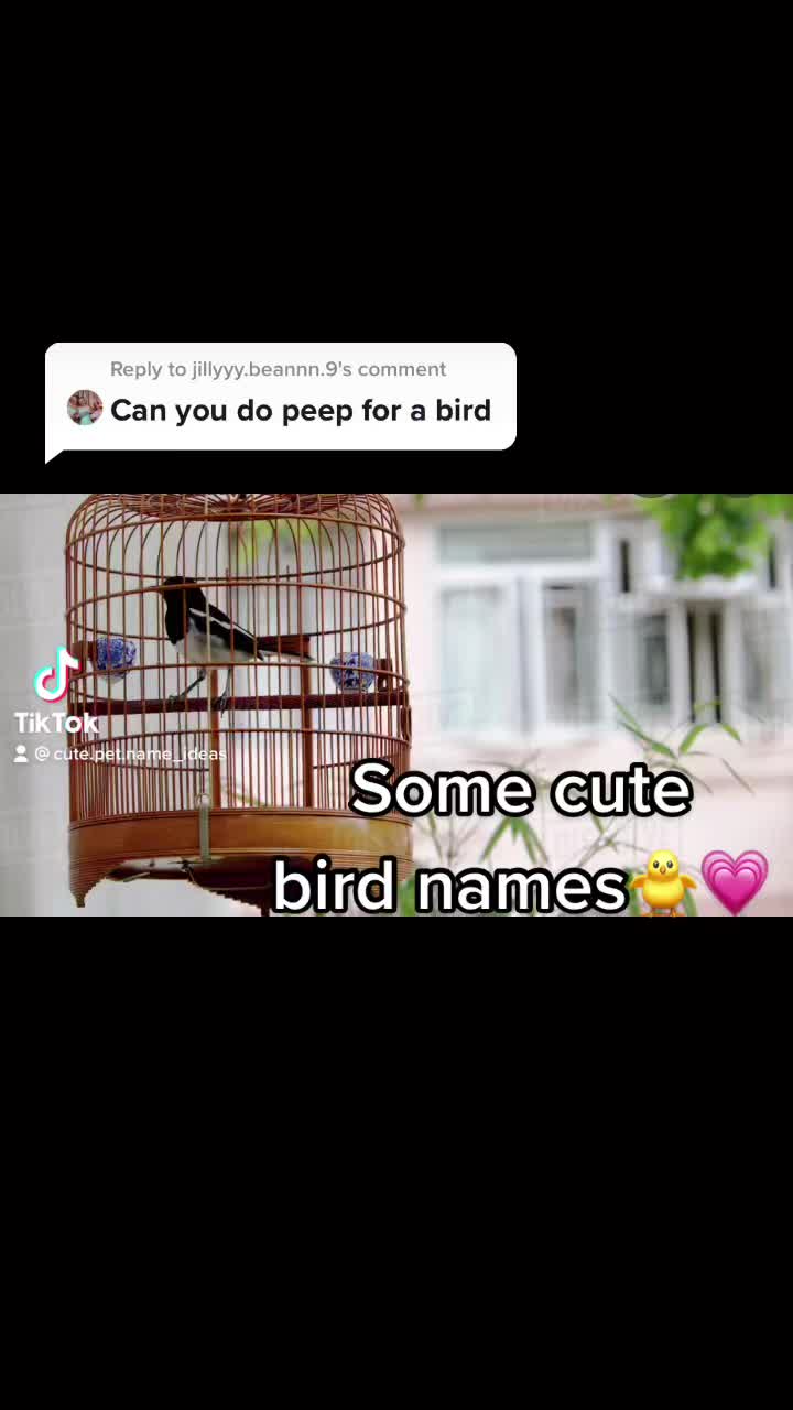 @Cute pet names