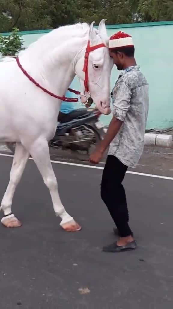 @user7708551981056