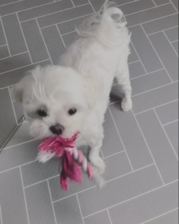 @PINKํ ๋ฆฌ๐