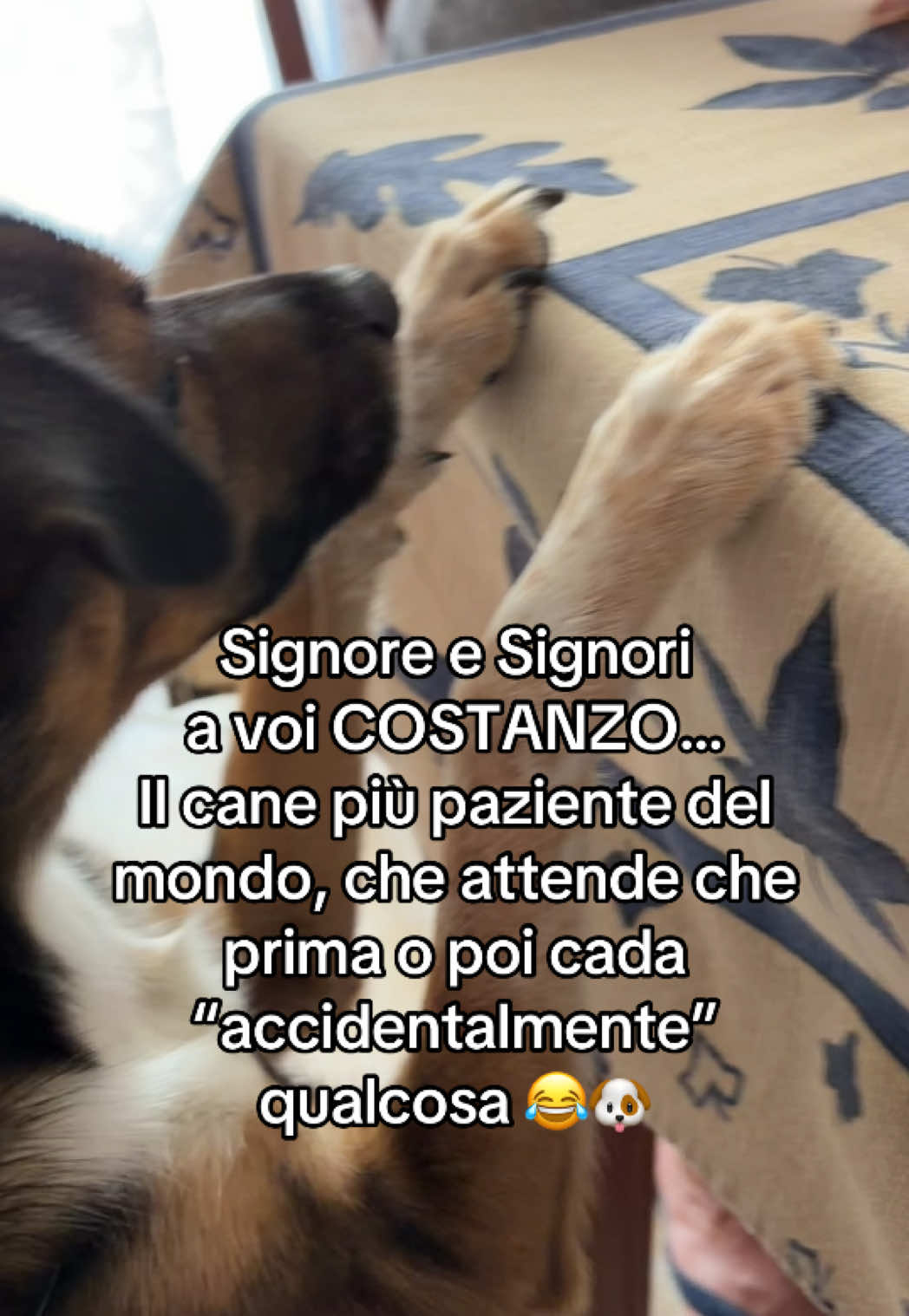 @il mondo_di_Roy