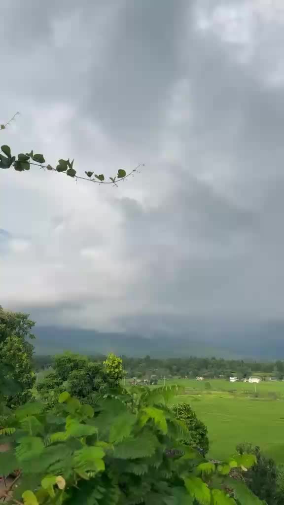 @Tika Bhandari