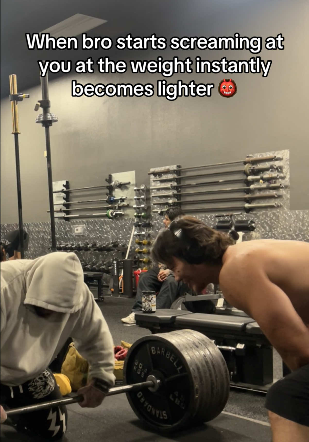 @GORILLA QUINN 🦍🇺🇸