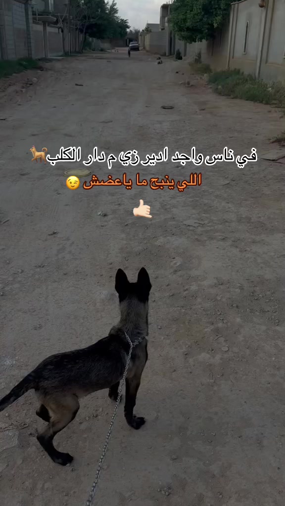 @﮼ِعزوالجلالي 🩸🐺