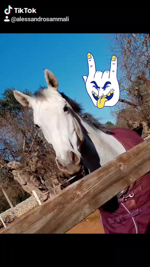 @Alessandro 220
