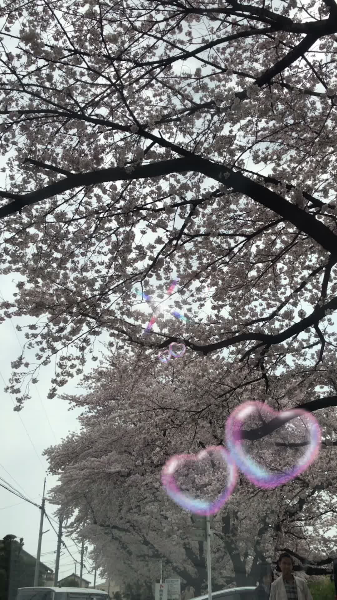 @KAZUïŒã«ãº ïŒð