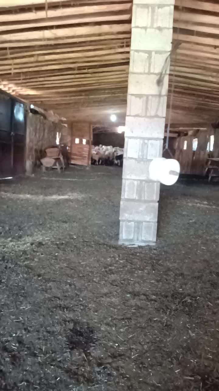 @Ferat G&Uuml;M&Uuml;ŞTAŞ