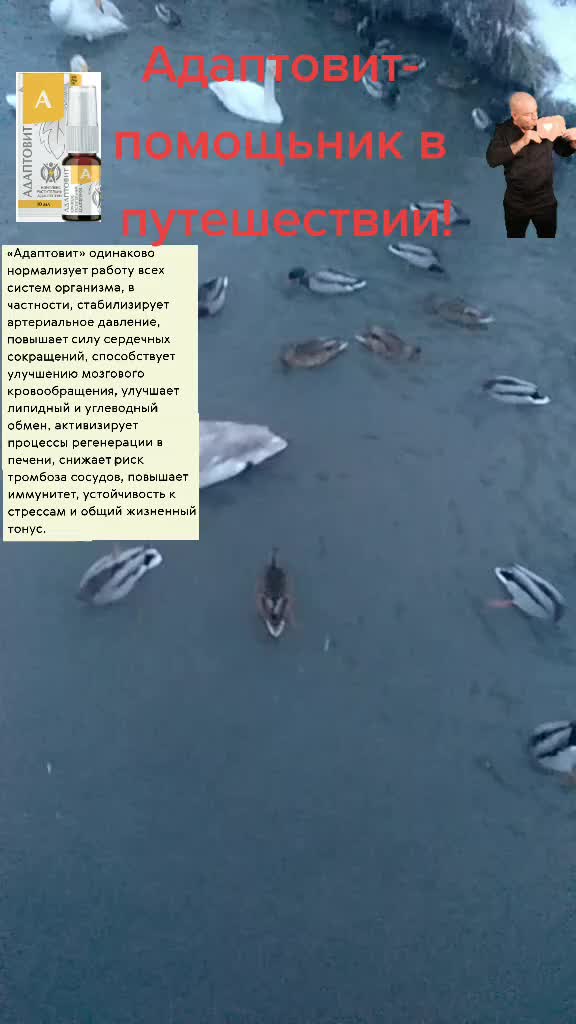 @Светлана Фольмер_zdorovo