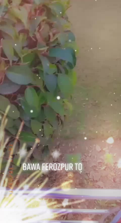 @bawa Feozpur to