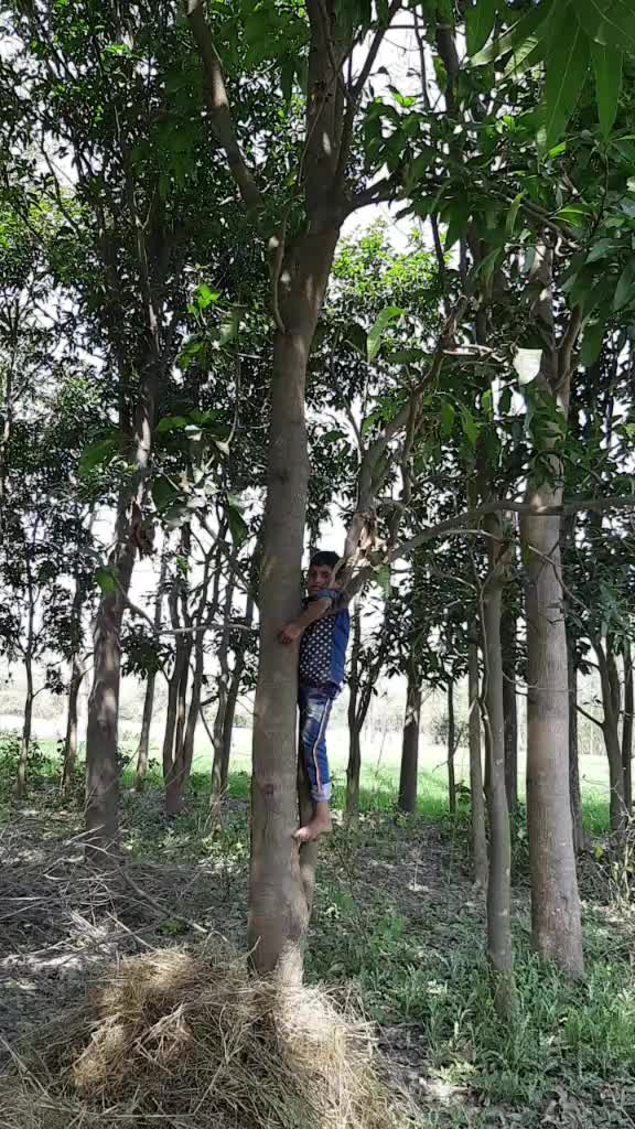 @user3427163072455