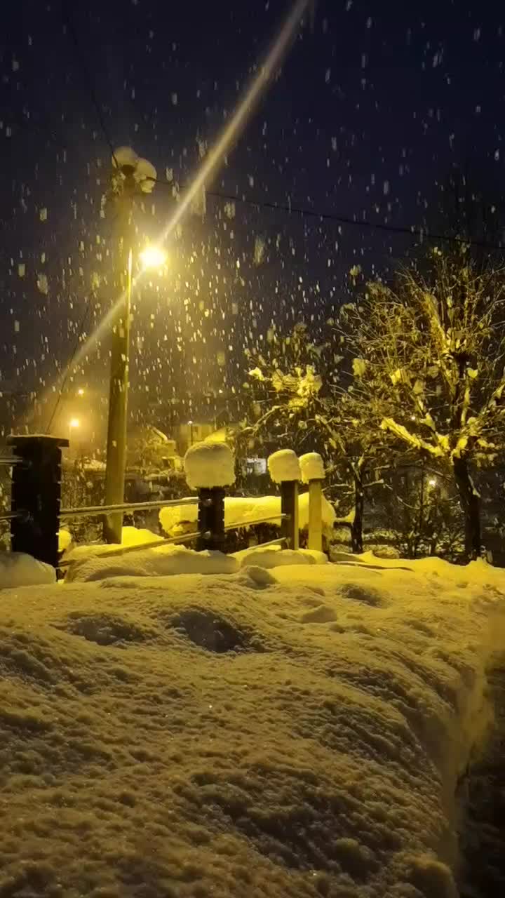 @Drežnica
