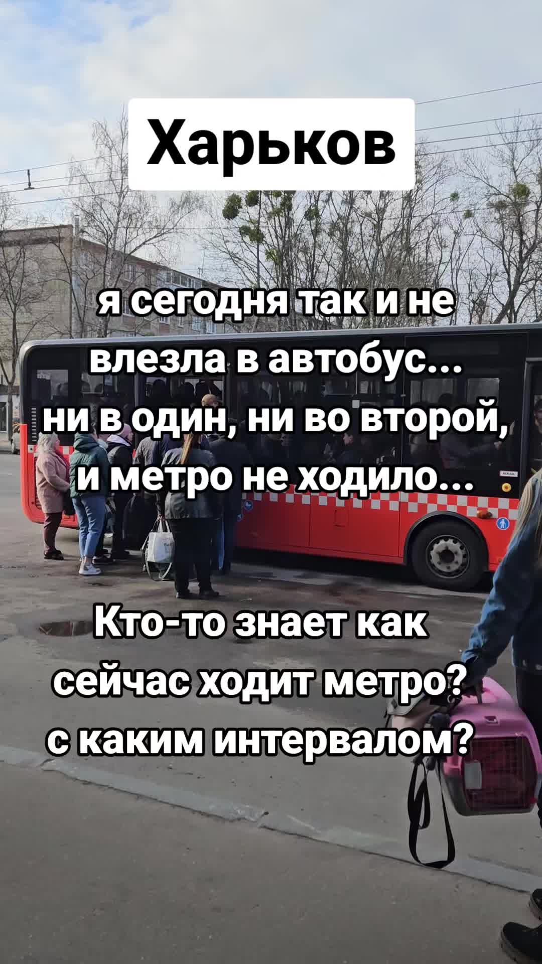 @moy_blog24
