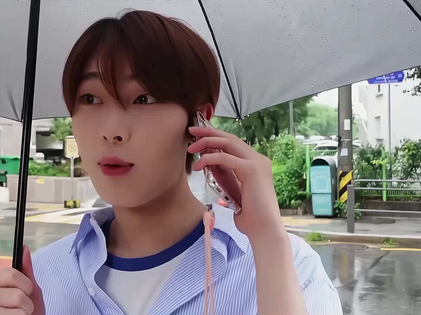 @acorn