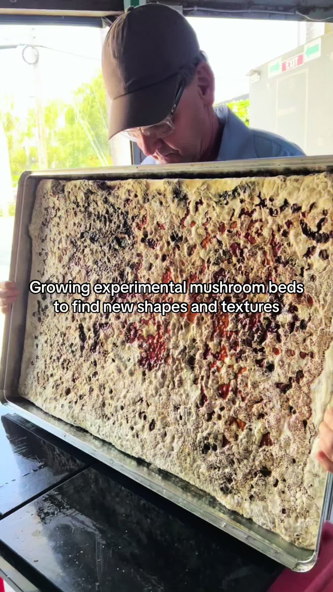 @MycoWorks