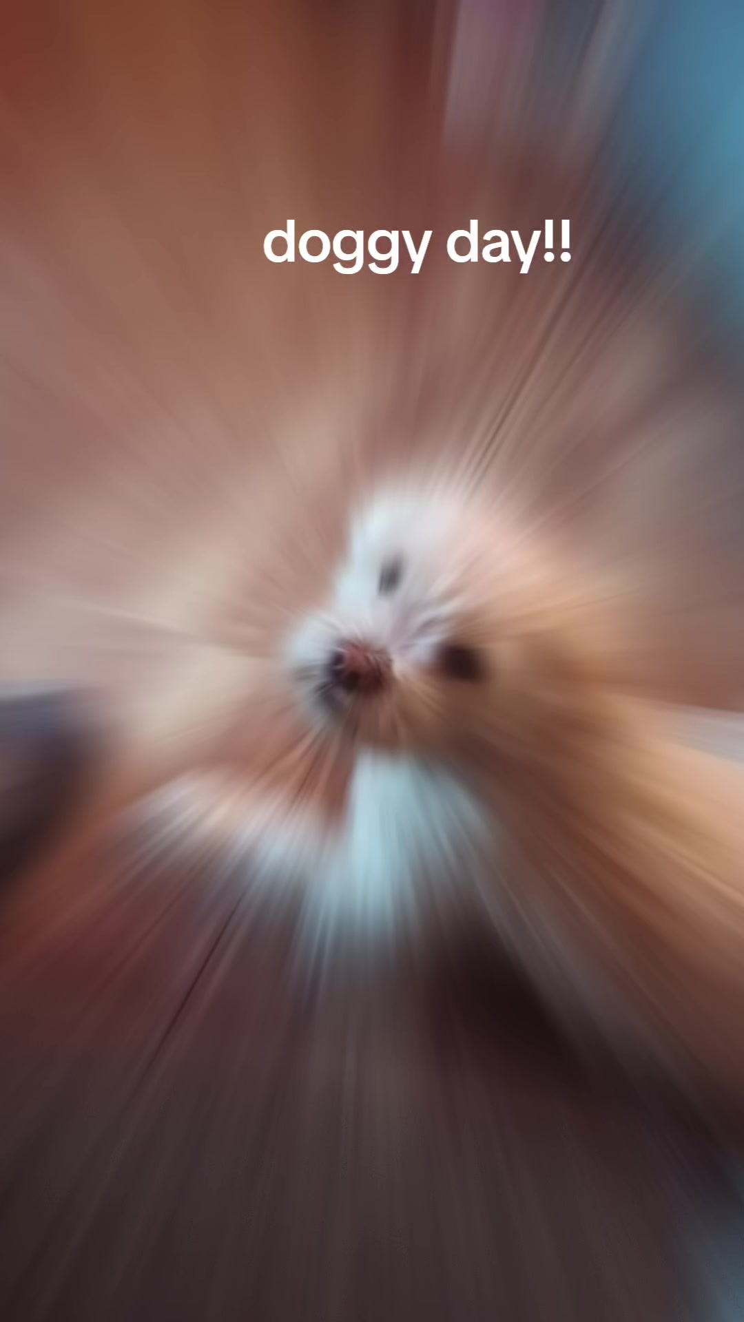 @magik and moxie