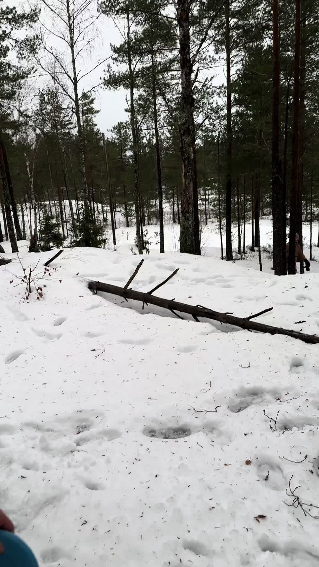 @Lauri Suominen