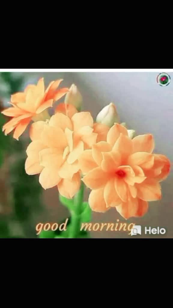 @Divya Maleesh
