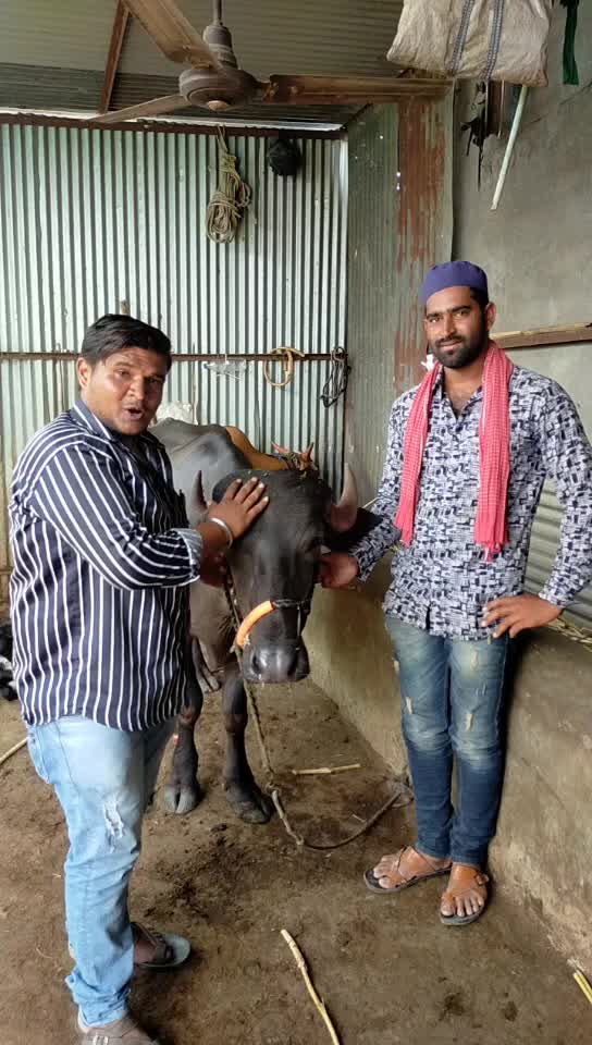 @SAGAR         KHAN