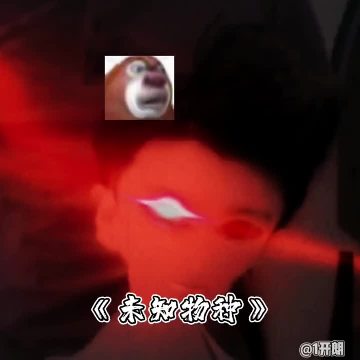 @1開朗 👑