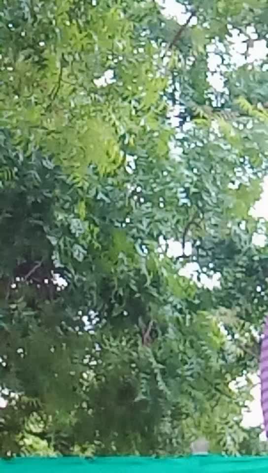 @Fish Vinod Kumar