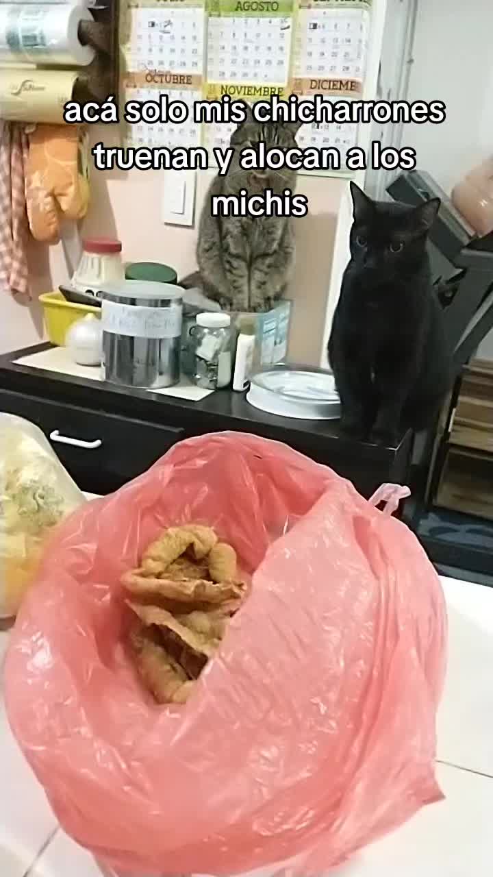 @petuchis
