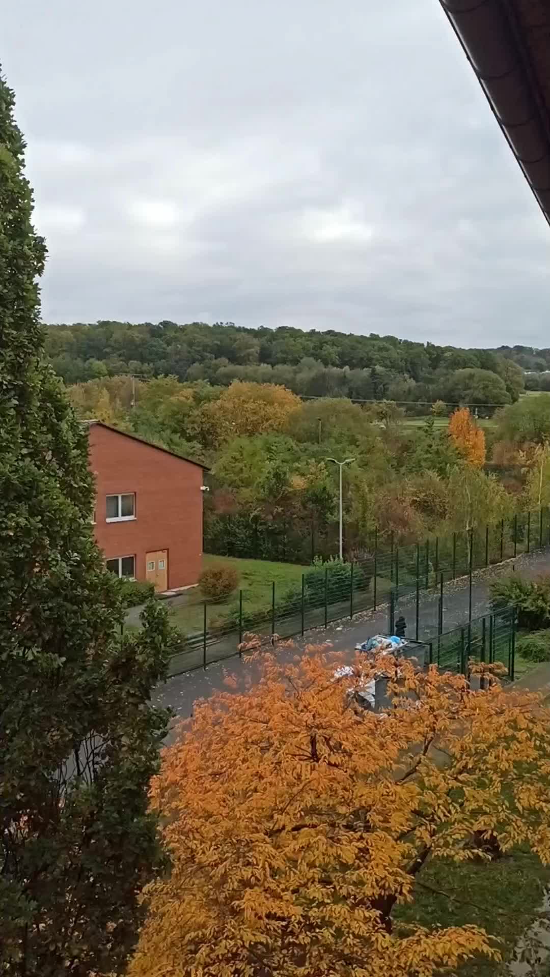 @feroyetim01