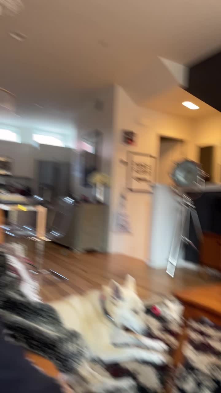 @hey_kait_