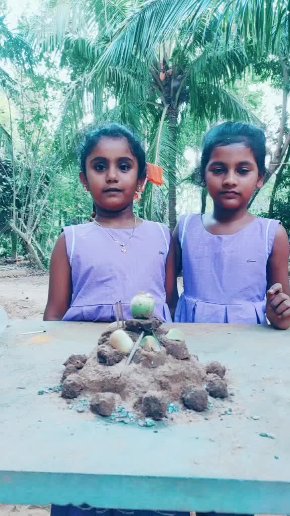 @mahima ramani