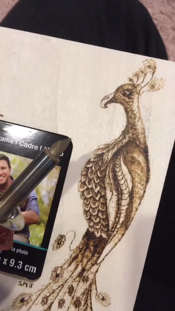 @solliejones